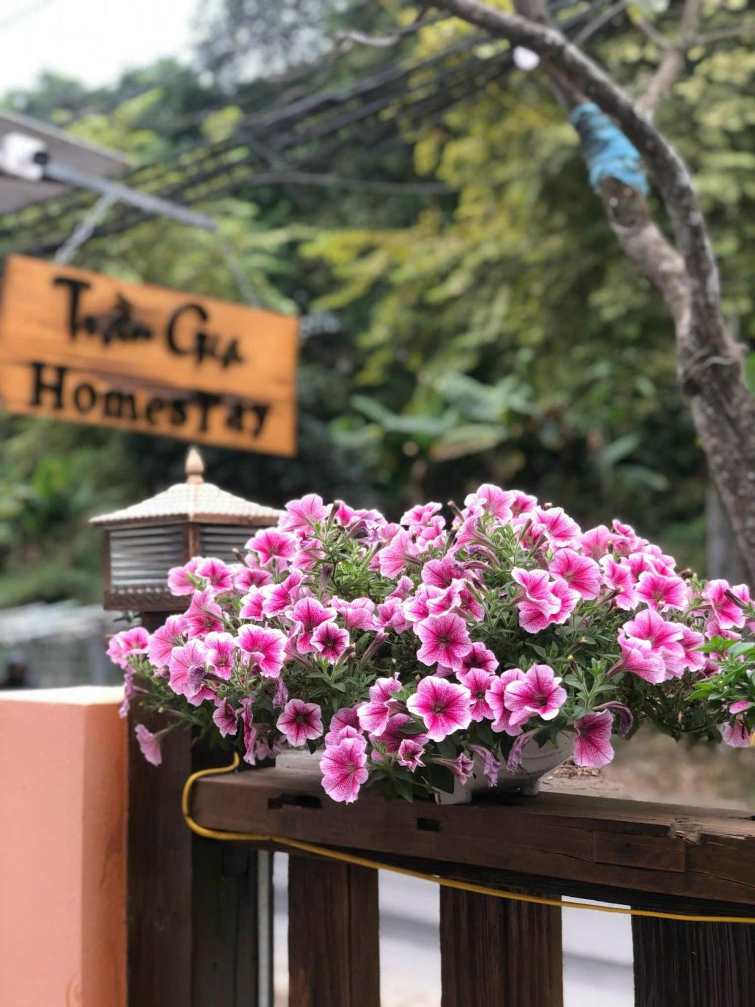 Tran Gia Homestay Nghia Lo Exterior foto